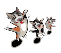 Richie cat 01 sticker #3414653