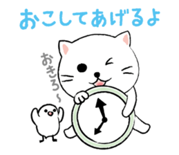 White cat's and Java sparrow sticker #3415697