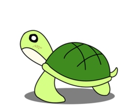 Yurukame Turtle sticker #3416146
