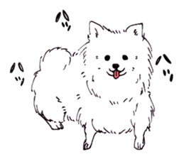 PomeranianWATA-CHAN sticker #3420386