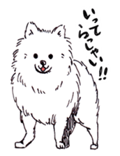 PomeranianWATA-CHAN sticker #3420388