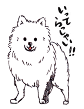 PomeranianWATA-CHAN sticker #3420388