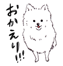 PomeranianWATA-CHAN sticker #3420389