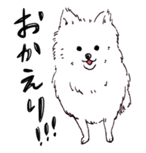 PomeranianWATA-CHAN sticker #3420389