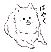 PomeranianWATA-CHAN sticker #3420392