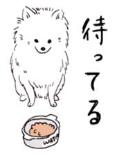 PomeranianWATA-CHAN sticker #3420393