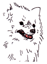 PomeranianWATA-CHAN sticker #3420394