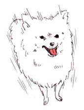 PomeranianWATA-CHAN sticker #3420395