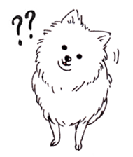 PomeranianWATA-CHAN sticker #3420396