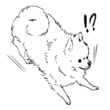 PomeranianWATA-CHAN sticker #3420397
