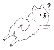 PomeranianWATA-CHAN sticker #3420398