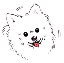 PomeranianWATA-CHAN sticker #3420399