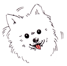 PomeranianWATA-CHAN sticker #3420399