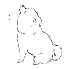 PomeranianWATA-CHAN sticker #3420400