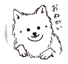 PomeranianWATA-CHAN sticker #3420404