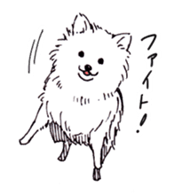 PomeranianWATA-CHAN sticker #3420406