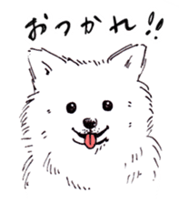 PomeranianWATA-CHAN sticker #3420407