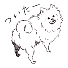 PomeranianWATA-CHAN sticker #3420415