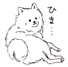 PomeranianWATA-CHAN sticker #3420417