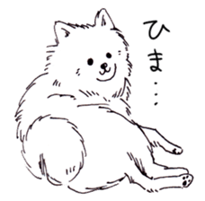 PomeranianWATA-CHAN sticker #3420417
