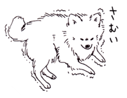 PomeranianWATA-CHAN sticker #3420418