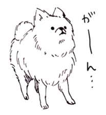 PomeranianWATA-CHAN sticker #3420423