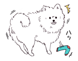 PomeranianWATA-CHAN sticker #3420425