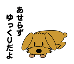 Face only Fluffy dog sticker #3421551