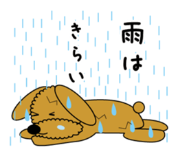 Face only Fluffy dog sticker #3421552