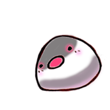 hello birds sticker #3422242