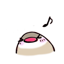 hello birds sticker #3422252