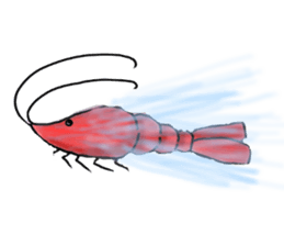 Boiled shrimp and co. sticker #3422983