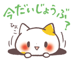 Cute Cats Japanese Kansai Words Vol.3 sticker #3423256