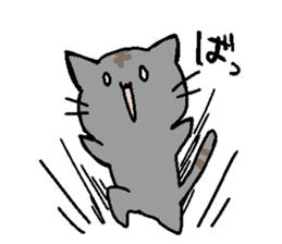 Cat attitude to life sticker #3423435
