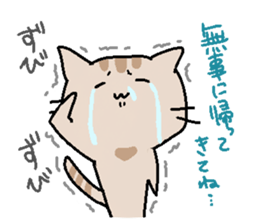 Cat attitude to life sticker #3423437