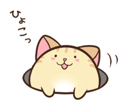 Very round cat sticker #3424423