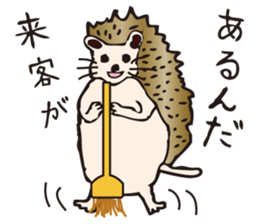 Hedgehog Boy sticker #3424789