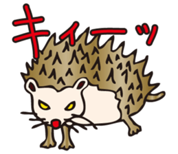 Hedgehog Boy sticker #3424798