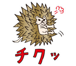 Hedgehog Boy sticker #3424799