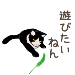 University Cat's Kansai Dialect