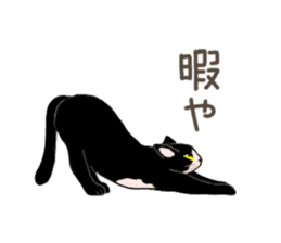University Cat's Kansai Dialect sticker #3426106