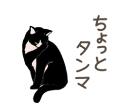 University Cat's Kansai Dialect sticker #3426107