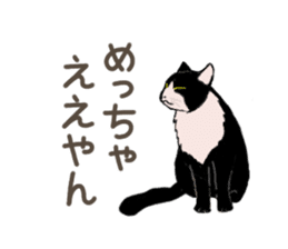 University Cat's Kansai Dialect sticker #3426109