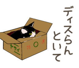 University Cat's Kansai Dialect sticker #3426110