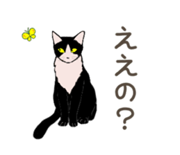 University Cat's Kansai Dialect sticker #3426112