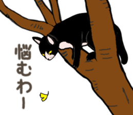 University Cat's Kansai Dialect sticker #3426113