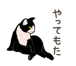 University Cat's Kansai Dialect sticker #3426114
