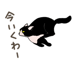 University Cat's Kansai Dialect sticker #3426115