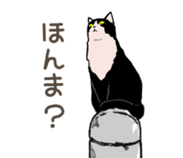 University Cat's Kansai Dialect sticker #3426117