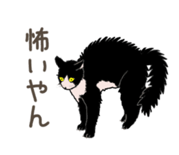 University Cat's Kansai Dialect sticker #3426121